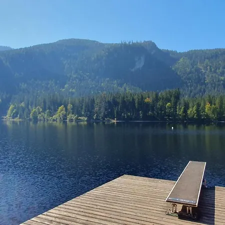 Apartment Tauplitz Skiing, Hiking, Bike, Cross Country - Haus Sandlweber *